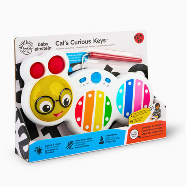 Baby Einstein Juguete Musical Xilófono Para Bebés 12 Meses